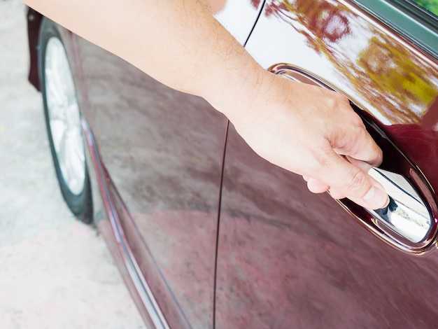 Профилактика примерзания дверей в будущем